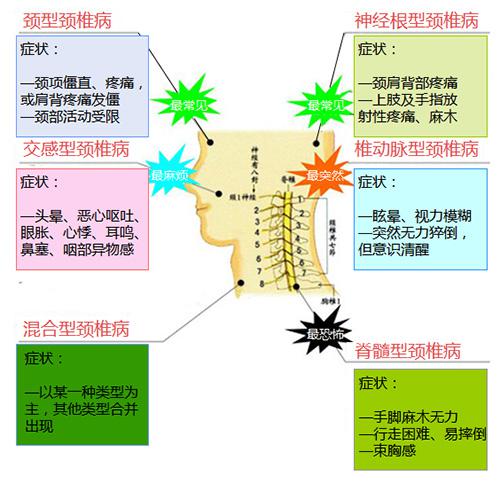 腰新乡总人口_新乡职业技术学院