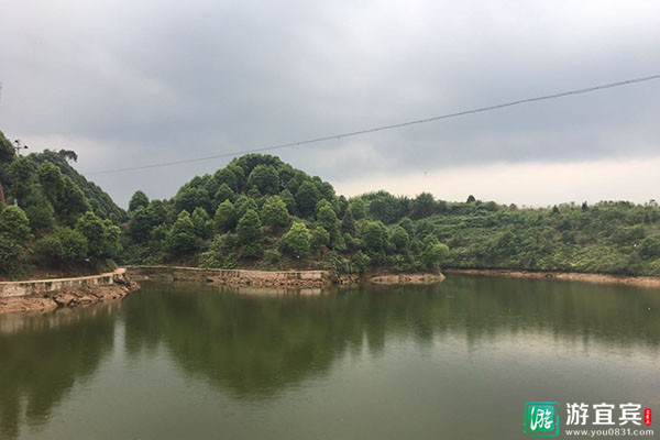 游宜宾推荐:仙鹅湖油樟庄园,原生态湖鱼