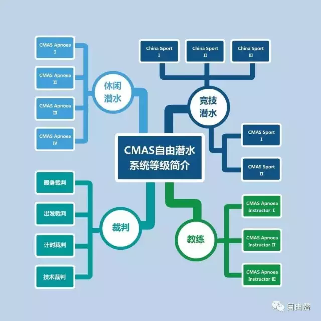 aida,ssi,padi.你有分清过这些自由潜系统吗?