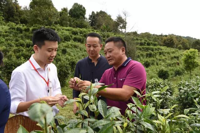 衡水老白干董事长(2)