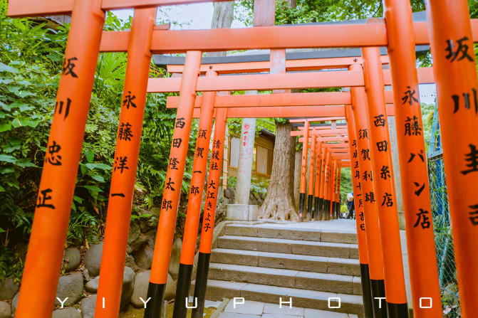 打个飞的去东京,穿浴衣看烟火,狂欢夏日祭