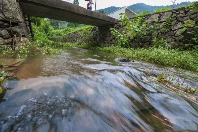 韩岭人口_人口普查