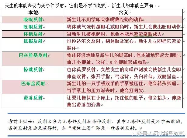 教师招聘,儿童心理学的三个高频考点