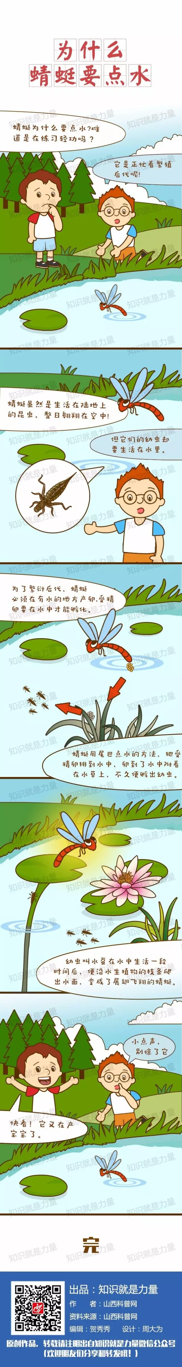 "蜻蜓点水"并不是蜻蜓在玩耍,为什么要点水呢?