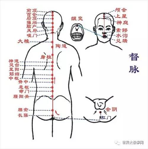 练拳时舌抵上腭是有道理的