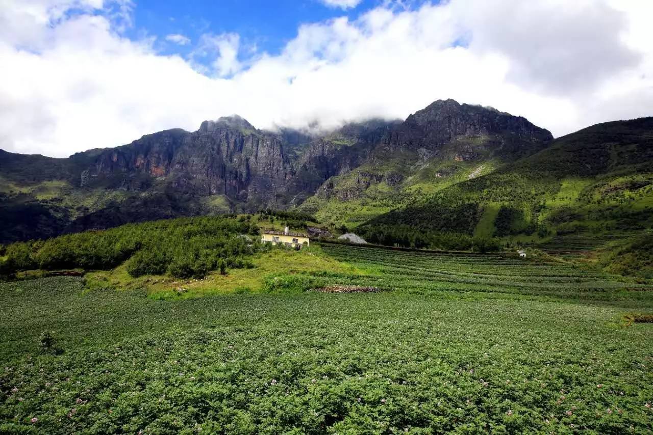 听说,东川最好的洋芋产自四块地.