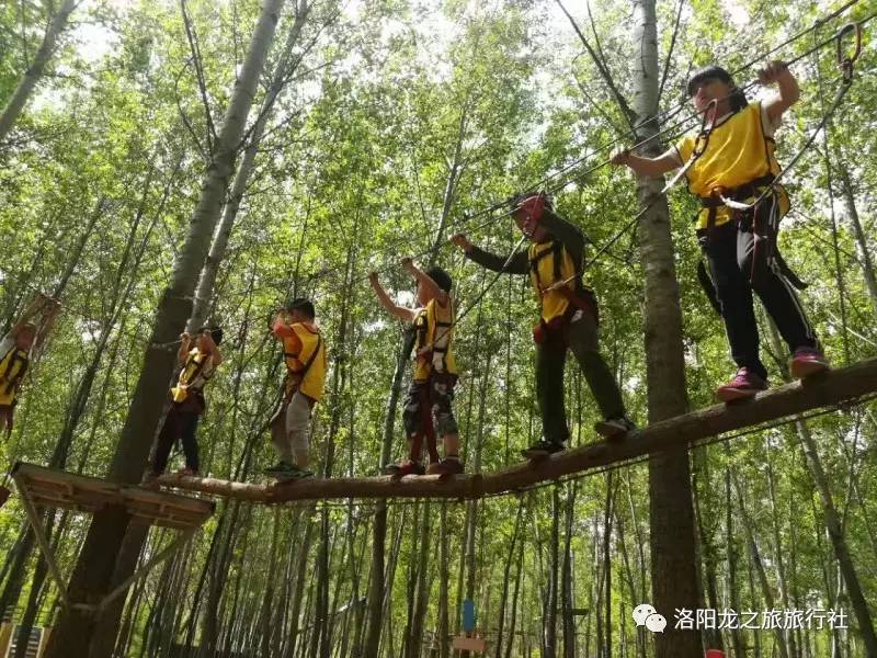 丛林穿越,挑战自我,来不?