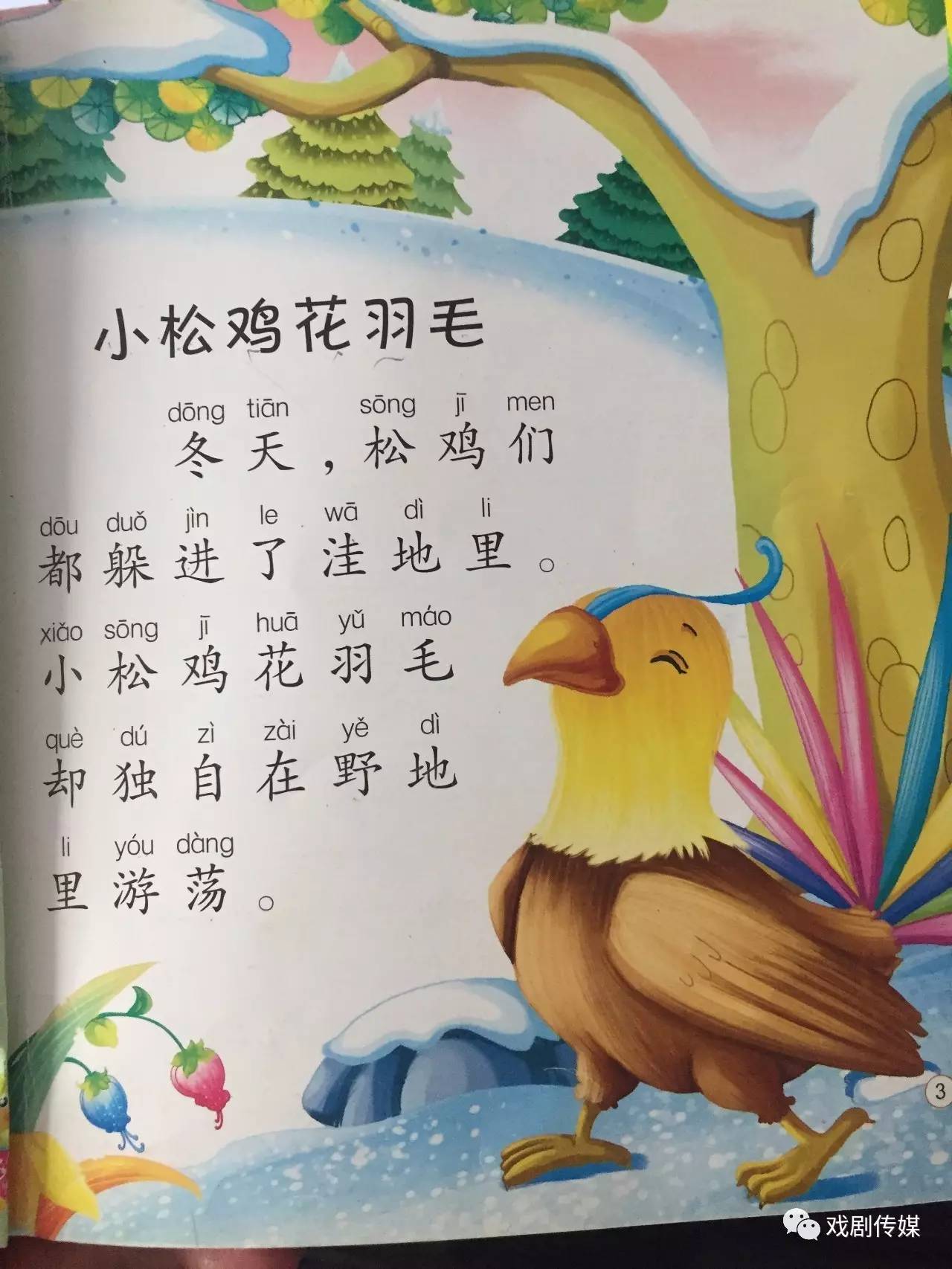 故事《小松鸡花羽毛,播讲:曾可以