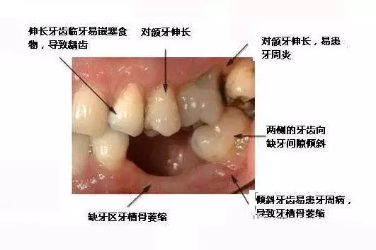 人口腔部位_人身体部位图