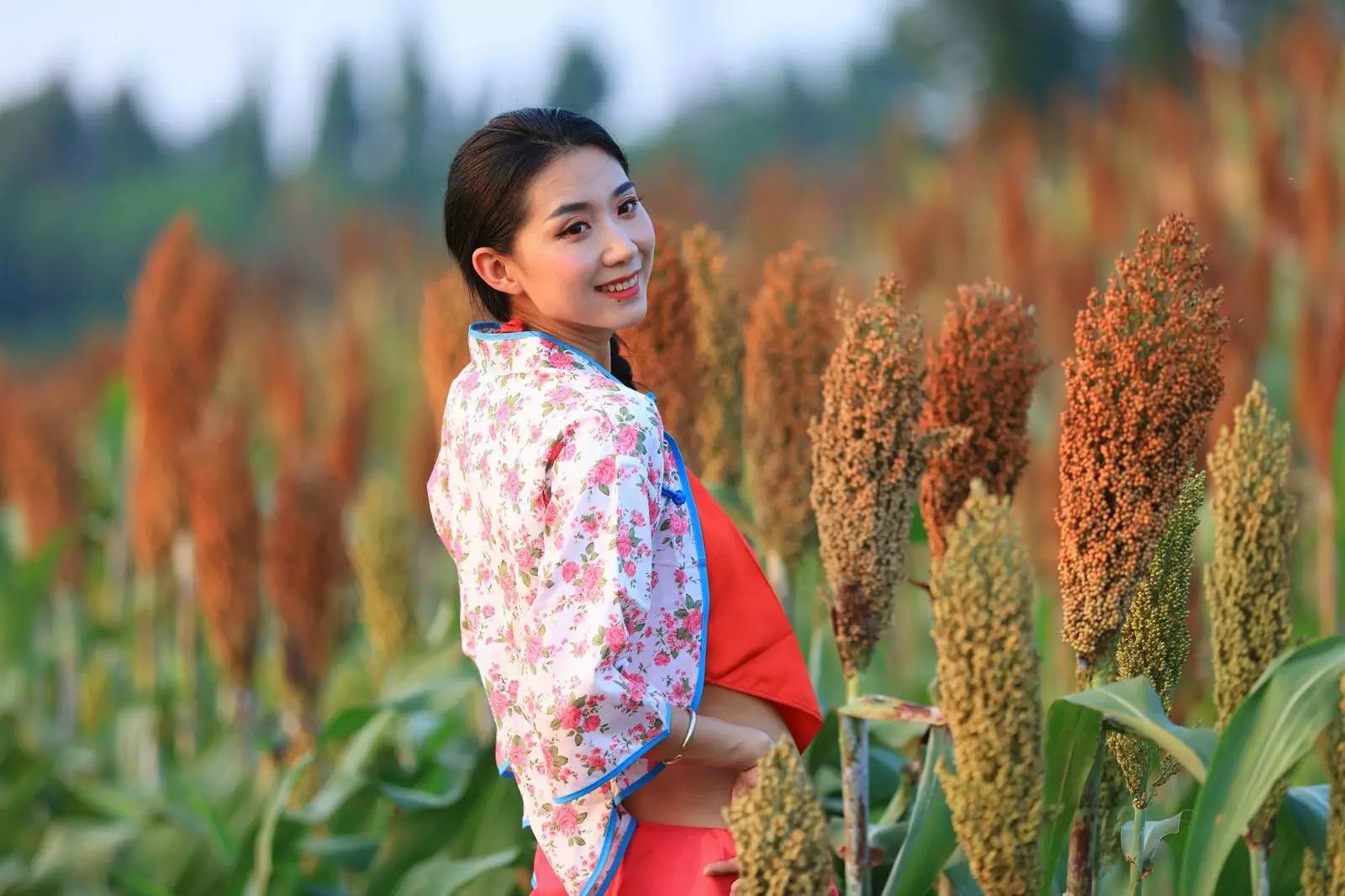 高清大图 | 炎炎夏日好福利!高粱地里的女儿情