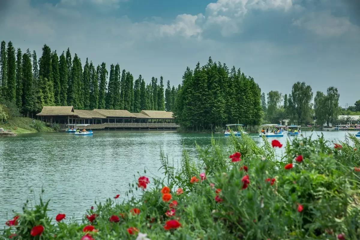安靖湖,北湖,青龙湖6个湖泊 湿地则是六湖周边及成华区龙潭片区 和