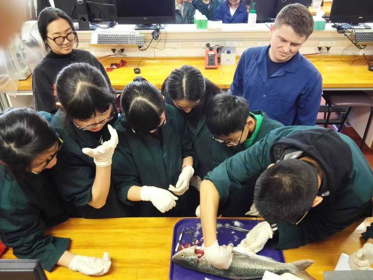 于是在导师和助教的带领下,同学们换上实验袍和手套开始了解剖实验