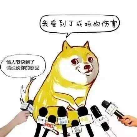 亲青恋还在吃狗粮七夕团团帮你一秒逆袭撒狗粮