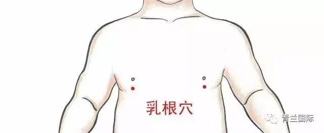 3,膻中穴位置:体前正中线,两乳头中间.经属:任脉.