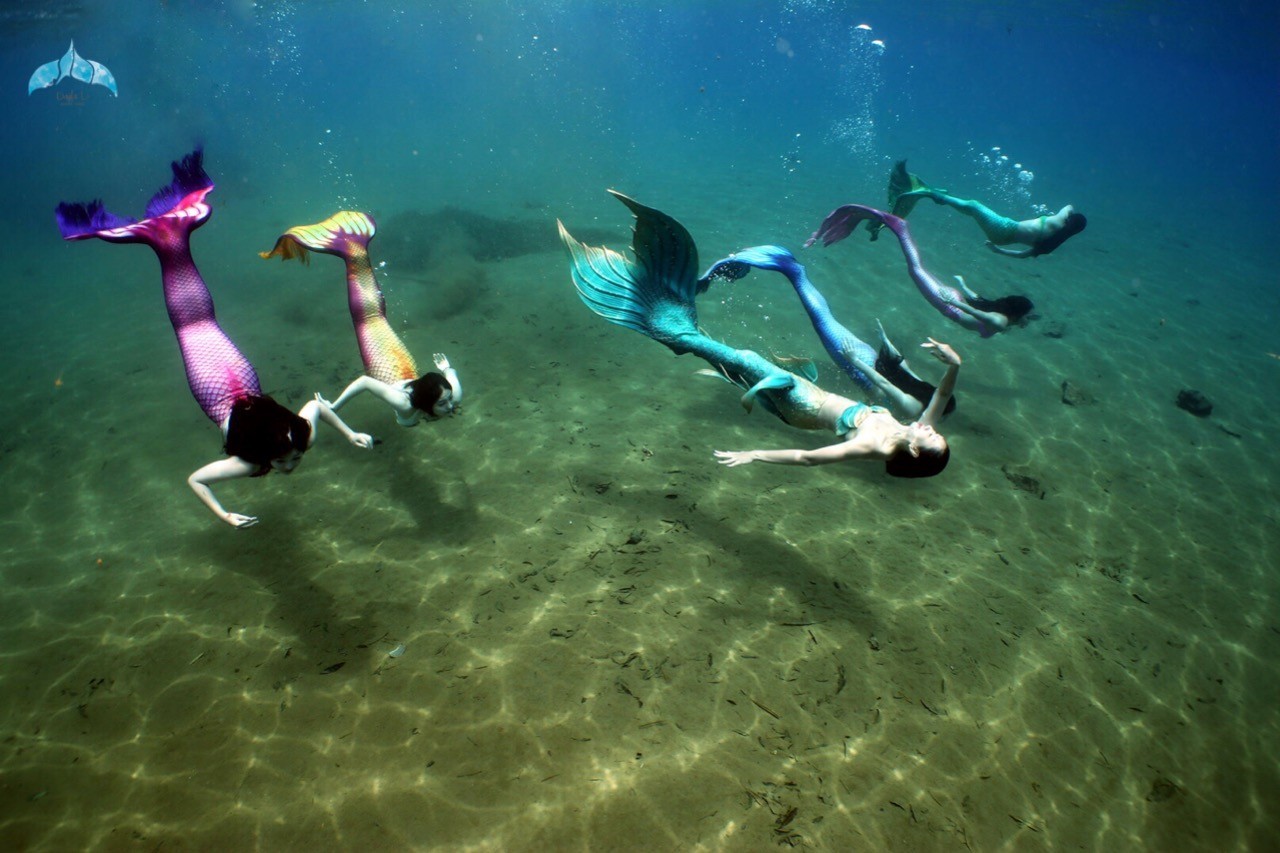 【潜水赛事】adex海洋节首届美人鱼大赛开赛啦!想看上