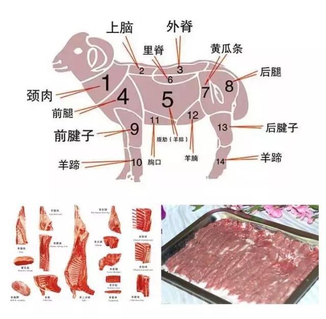 羊肉各部位究竟应该怎么吃