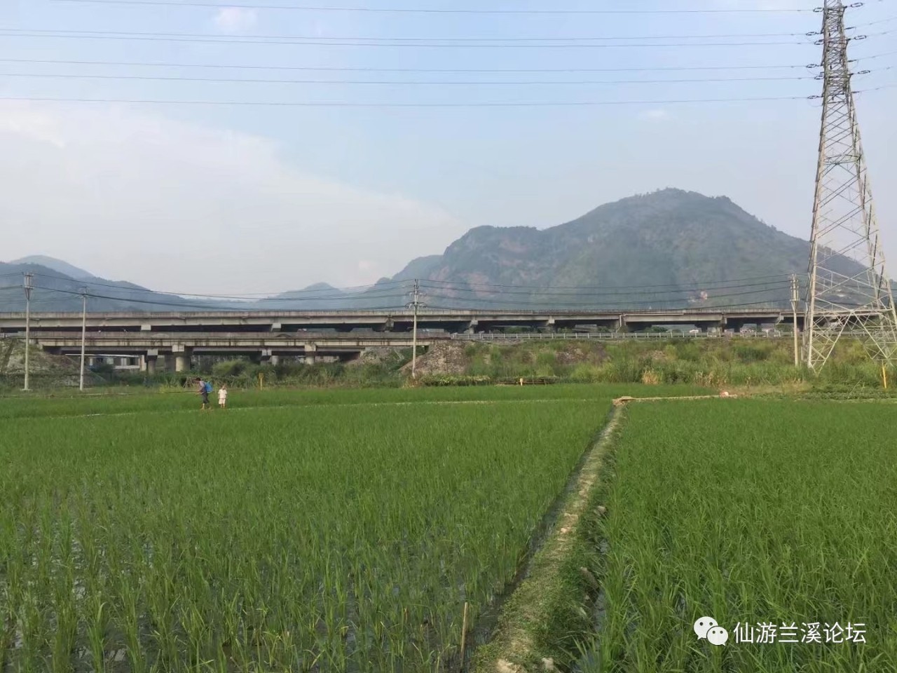 蒲峰村位于大济镇东北侧,大蜚山西北方向,南与鲤城来洋村,金井村交界