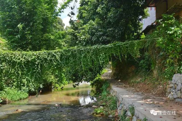 永春蓬壶:生态水系,扮靓壶景