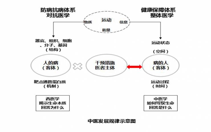 中医催吐是什么治疗原理_催吐用什么工具(2)