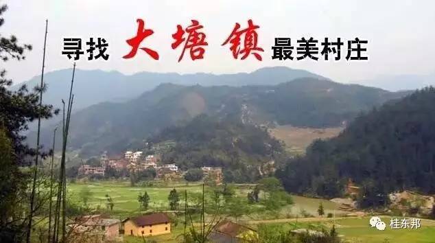 桂东县--大塘镇--最美村庄投票推荐