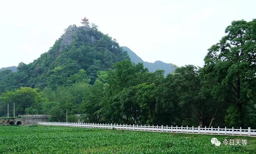 走在独秀峰山脚下的丽川河畔往山顶看,山峰影影绰绰,草木郁郁葱葱