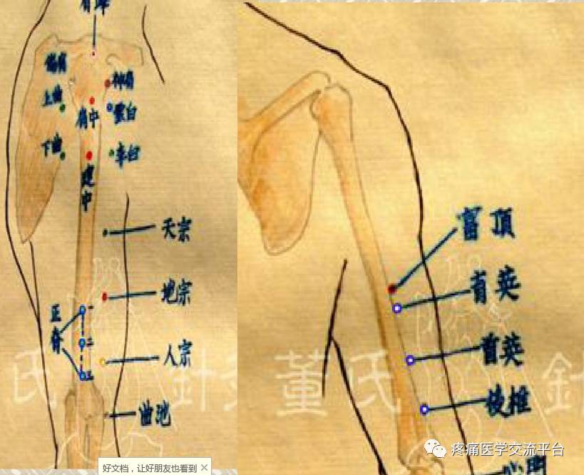 董氏奇穴常见穴位