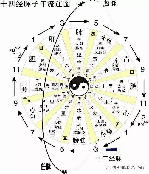 "附完整十四经络子午流注图