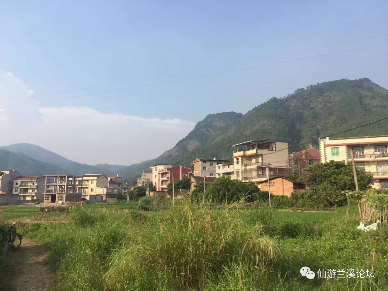 蒲峰村是大济镇唯一靠着大蜚山的一个村庄,大蜚山西麓山脚下的海霖寺