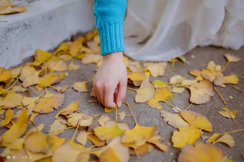 朗诵丨秋,一纸落花的叹息