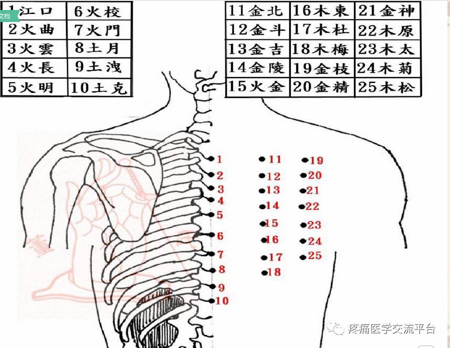 董氏奇穴常见穴位