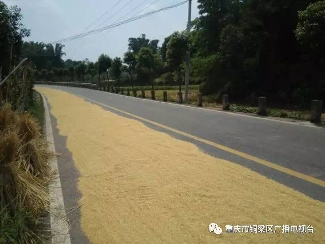 " 下面是铜梁蒲吕至旧县的公路上的现状 .