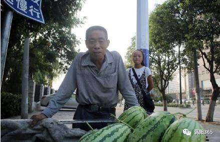 涡阳有多少人口_涡阳人,汽车站搬迁啦 回家的老乡们坐客车城际班车的千万别(3)