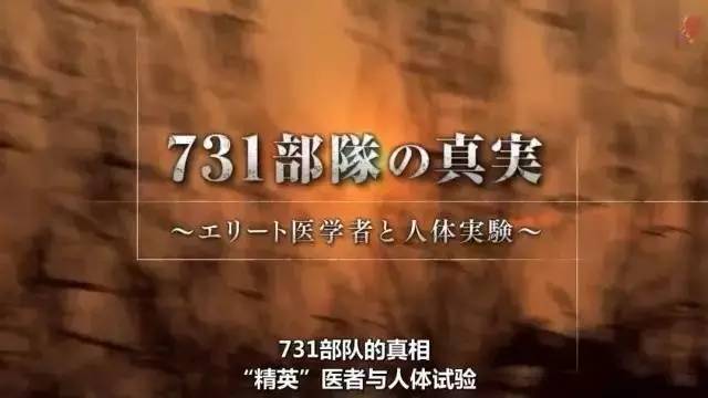 《731部队的真相:精英"医者"与人体试验》