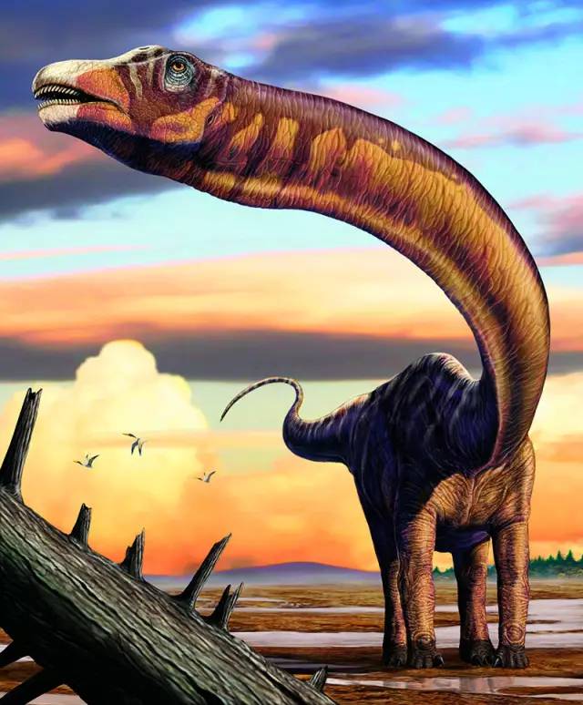 蜥脚类恐龙空前绝后的大体型深深困扰着科学家们.