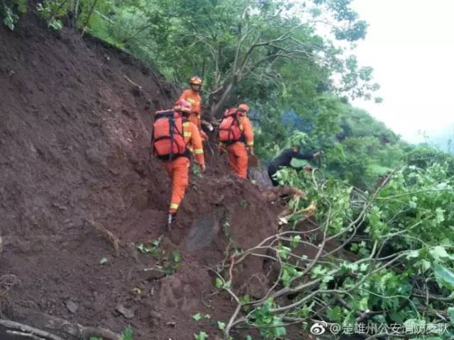 大姚 湾碧乡人口_大姚湾碧图片(2)