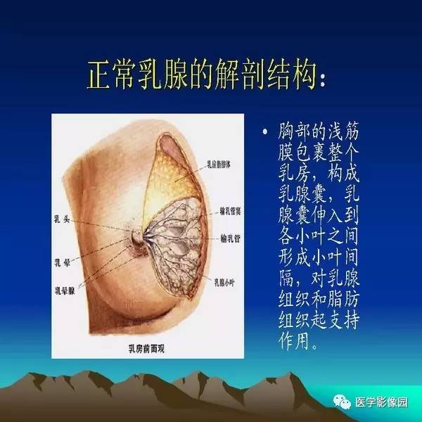 乳腺癌的钼靶诊断丨影像天地