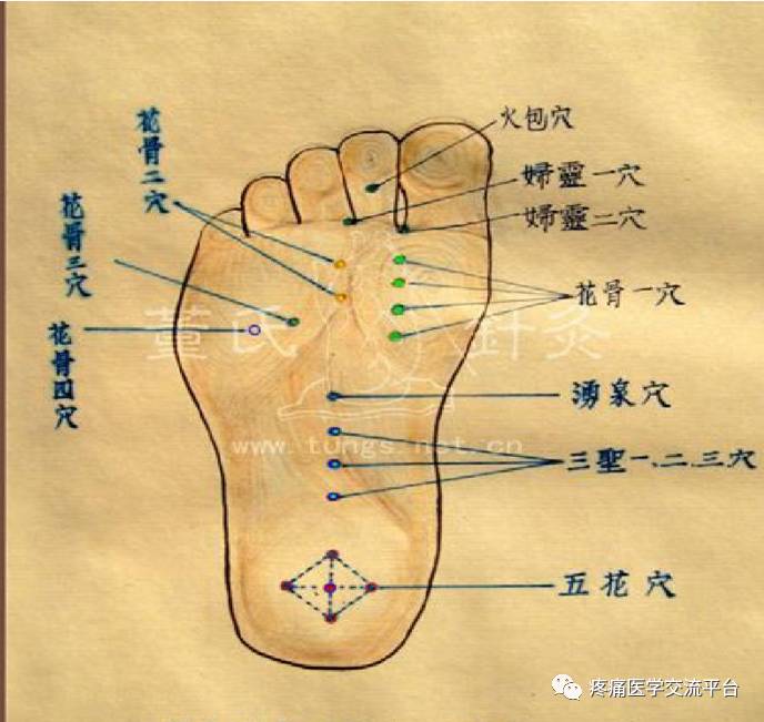 董氏奇穴常见穴位