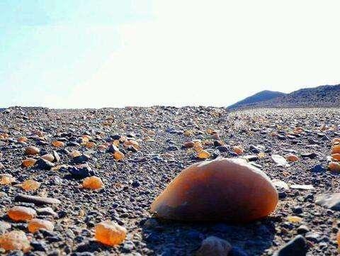 如果你在新疆罗布泊无人区捡到这些石头,你就是百万