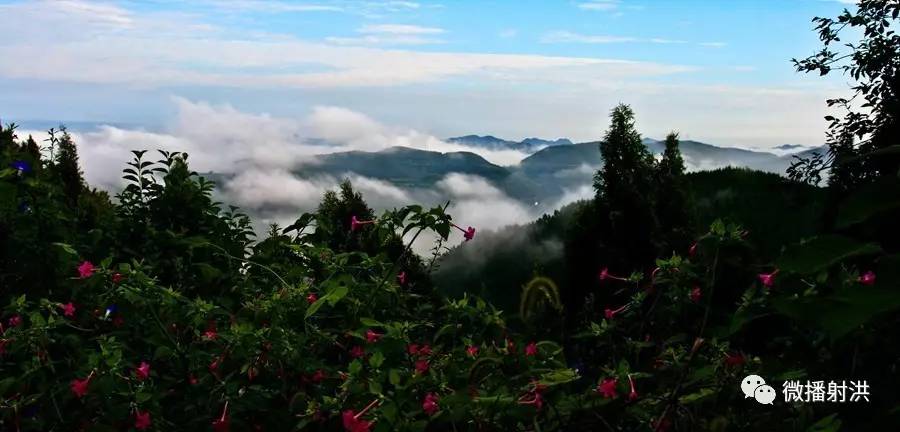 花果山风光