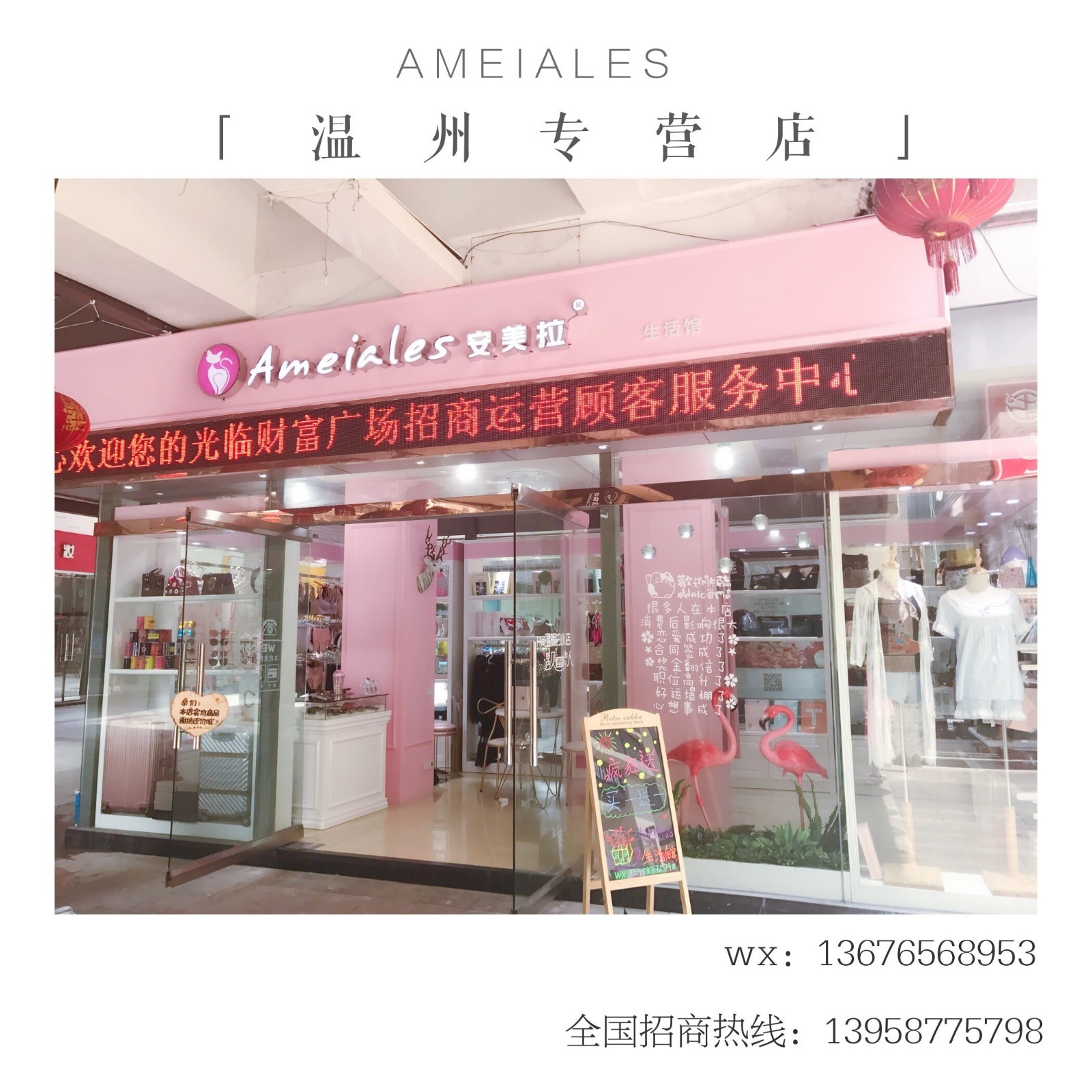 财富安美拉|温州专营店全场低至5折,你心动了么?