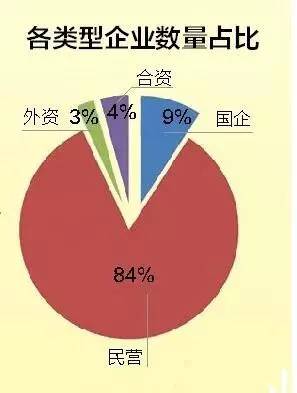 私营企业人口占比_中国肥胖人口占比(3)