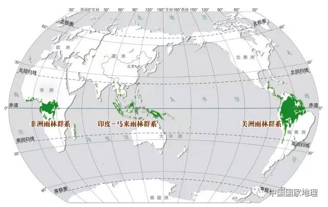 世界热带雨林分布