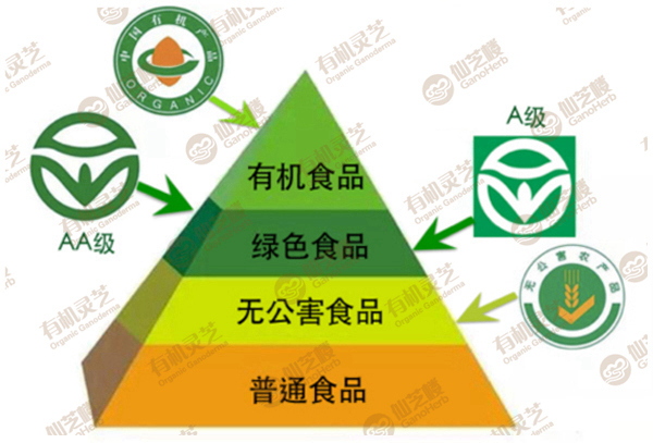 食品安全等级金字塔