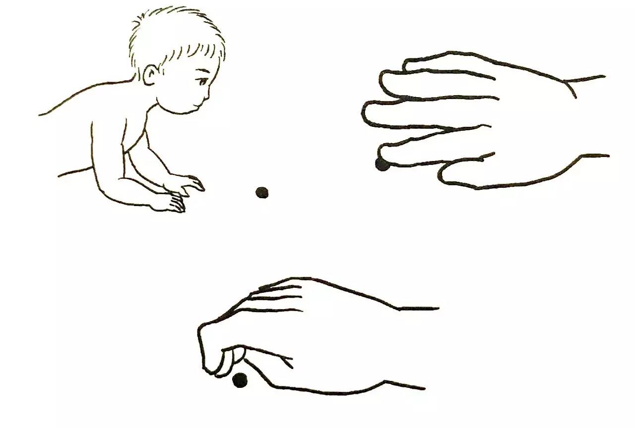 婴儿拇指内扣图片（宝宝拇指内扣将来不聪明）-幼儿百科-魔术铺