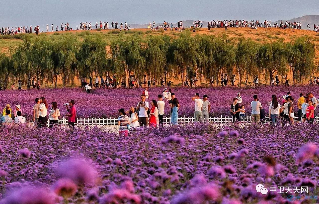 8月18日,中卫首届泡沫节在腾格里金沙岛景区如期进行了.