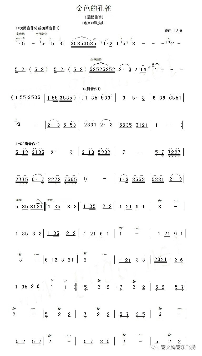 【葫芦丝教学】《金色的孔雀》于天佑老师讲解