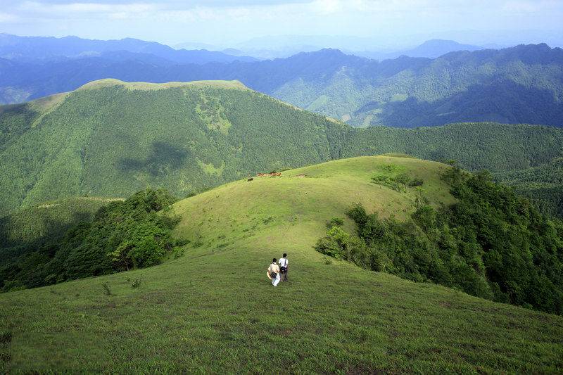 山下有个孙山顶有个名猜成语_从山顶照山下的图片