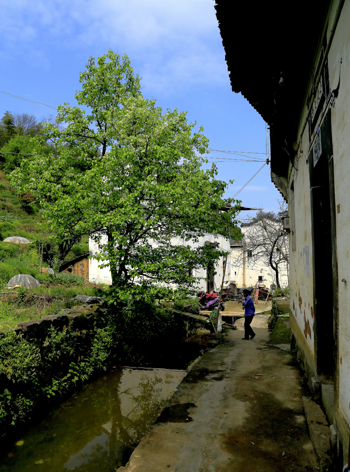 在婺源的大山深处撞见静谧的"晓鳙村"