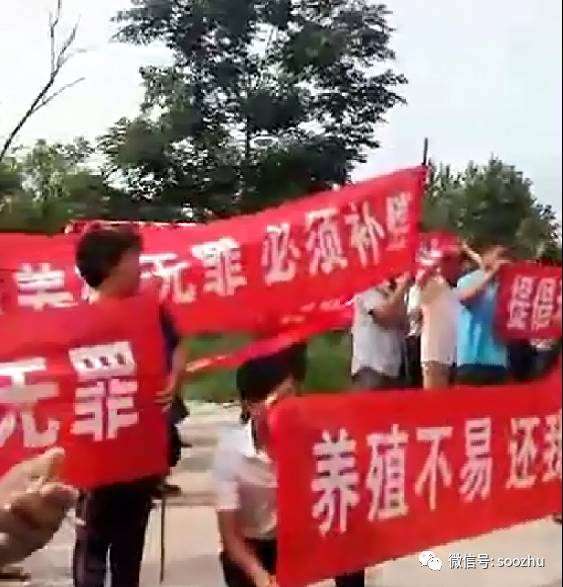 呼吁"拒绝强拆,养殖无罪,养殖不易,还我公道"