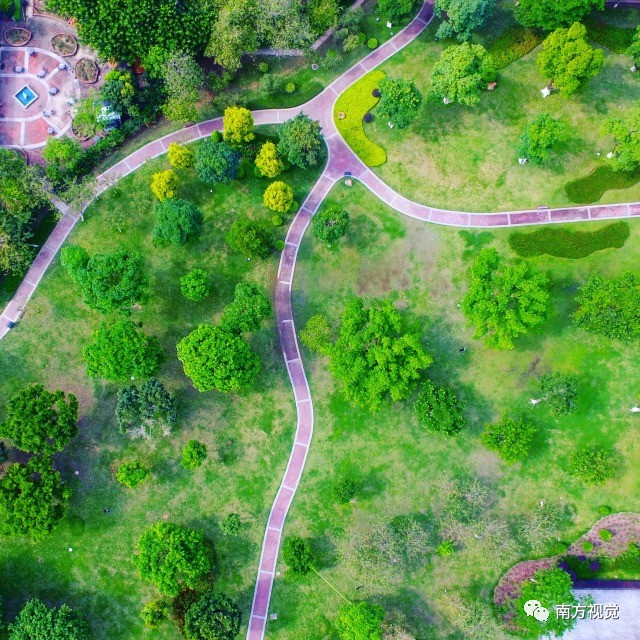 △二沙岛绿地总面积达到29万余平方米,在二沙岛跑步,可以享受绿树